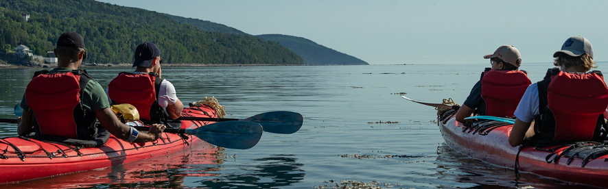 Half-day guided sea kayak excursion, departure from Saint-Irénée
