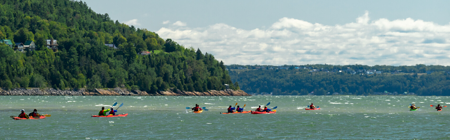 Parcours de 8 kilomètres en kayak de mer, profitez d'une demi-journée à découvrir les eaux de Baie-Saint-Paul