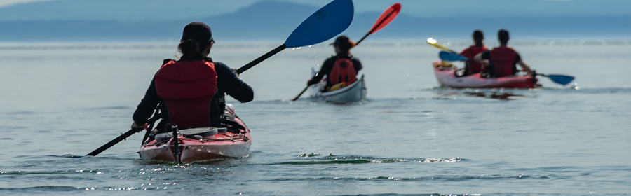 Discovery day: Full-day guided sea kayak excursion, departure from Saint-Irénée to Cap-aux-oies