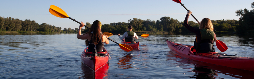 Ensemble de deux activités : descente de rivière de 8 kilomètres en kayak récréatif et excursion aux baleines en zodiac