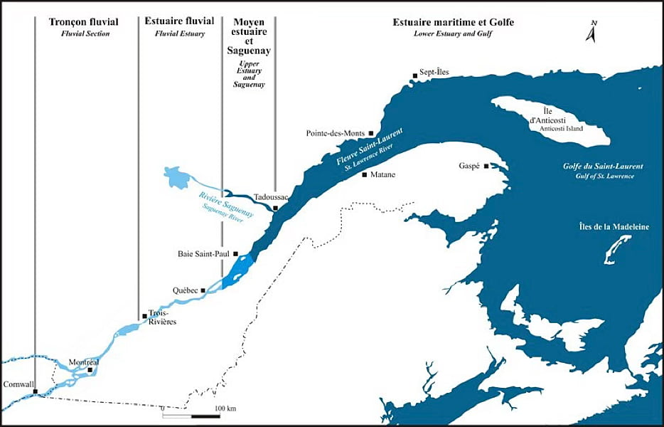 estuaire.png